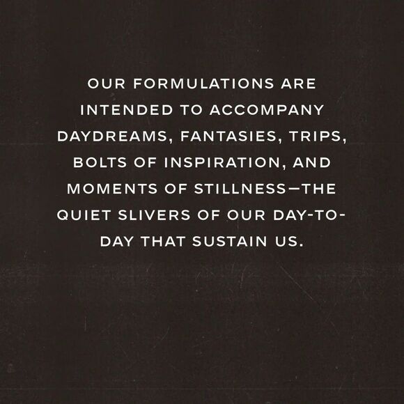 Twentynine Palms Desert Tumbleweed
Cleansing Shampoo & Conditioner Set - Picture 3 of 5